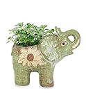 Dahlia Daisy Elephant Handmade Ceramic Succulent Planter/Plant Pot/Flower Pot, Daughter
