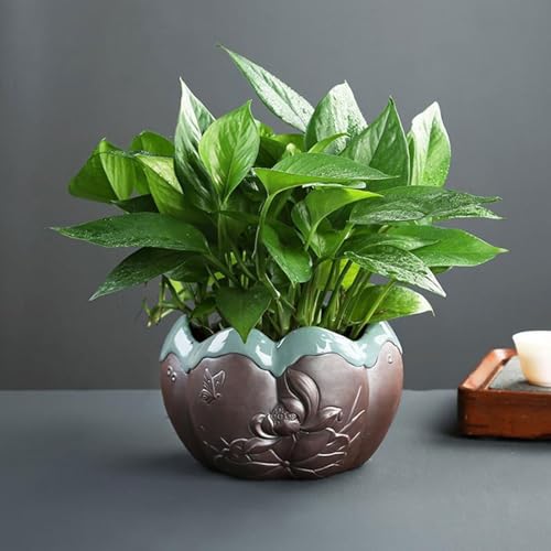 Jardinière hydroponique en céramique au design minimaliste et épuré - 6