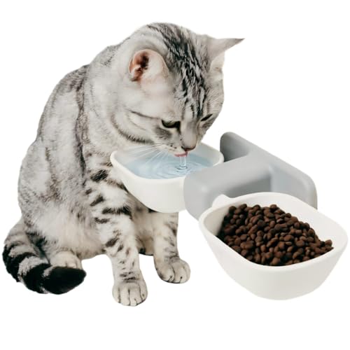 KINTEGOOD Dog Proof Cat Bowls, Wall Mounted Cat Food and Water Double Bowls…