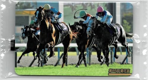 まねき馬№2602 第85回菊花賞/アーバンシック