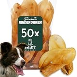 Hunde Helden