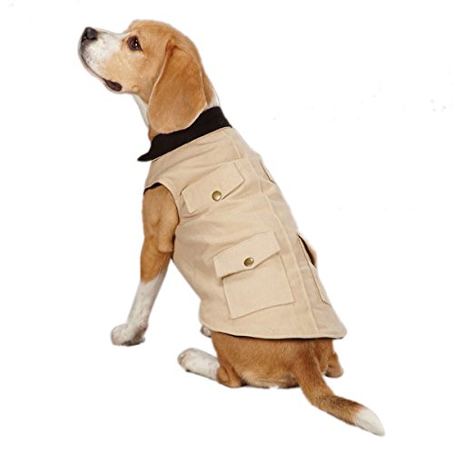 Veste utilitaire pour chien Zack & Zoey en toile premium XS