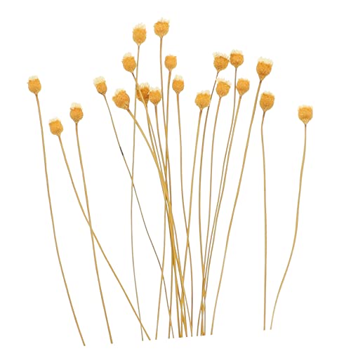 40 piezas varillas de aromaterapia para difusor de aceites miniatura 5