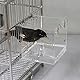 Aceshop Vogelbadewanne Hängende Vogelbadewanne Transparente Acrylvogelbadehaus-Badebox Vogelkäfigzubehör mit Haken für kleine Vögel Fink Wellensittich Kanarienvogel Papagei-12,8 * 11,3 * 13 cm