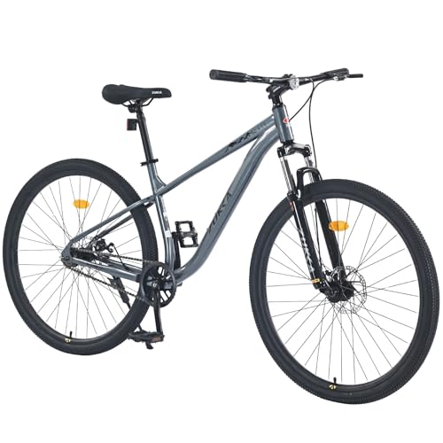 ZeHuoGe 29" Single Speed Mountain Bike with Steel Frame