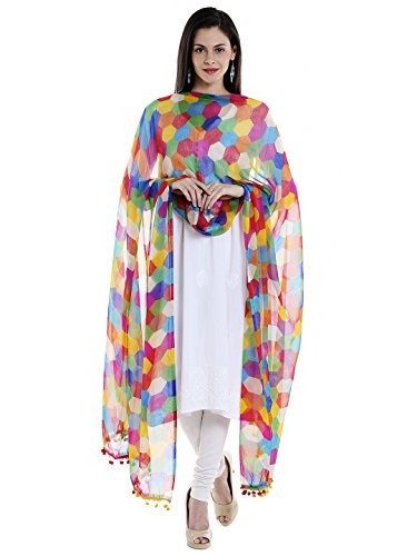 Women's Multicoloured Printed Chiffon Dupatta4