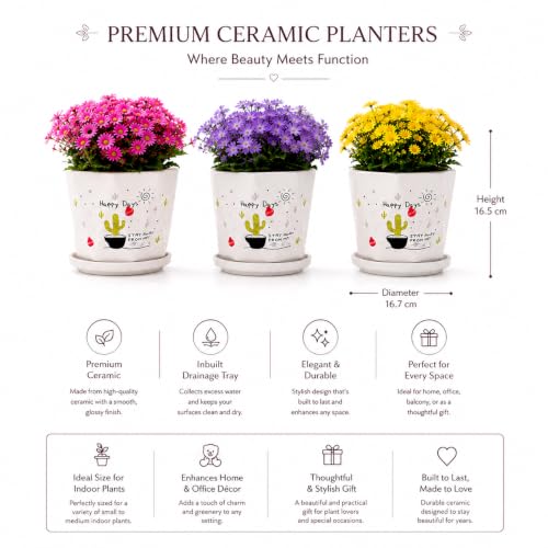 Image of Xtore Playful Printed Ceramic Planter Set of 3 with Drainage Trays | Decorative Indoor Flower Pots for Home, Office Desk & Balcony Styling (White Multicolor- Planter only)