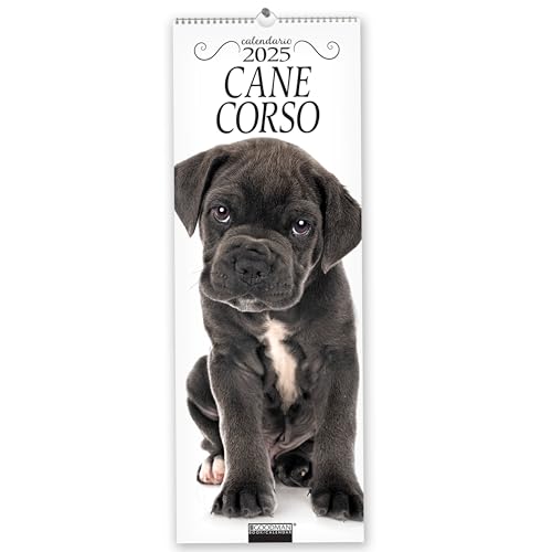  Cane corso. Calendario 2025. Long