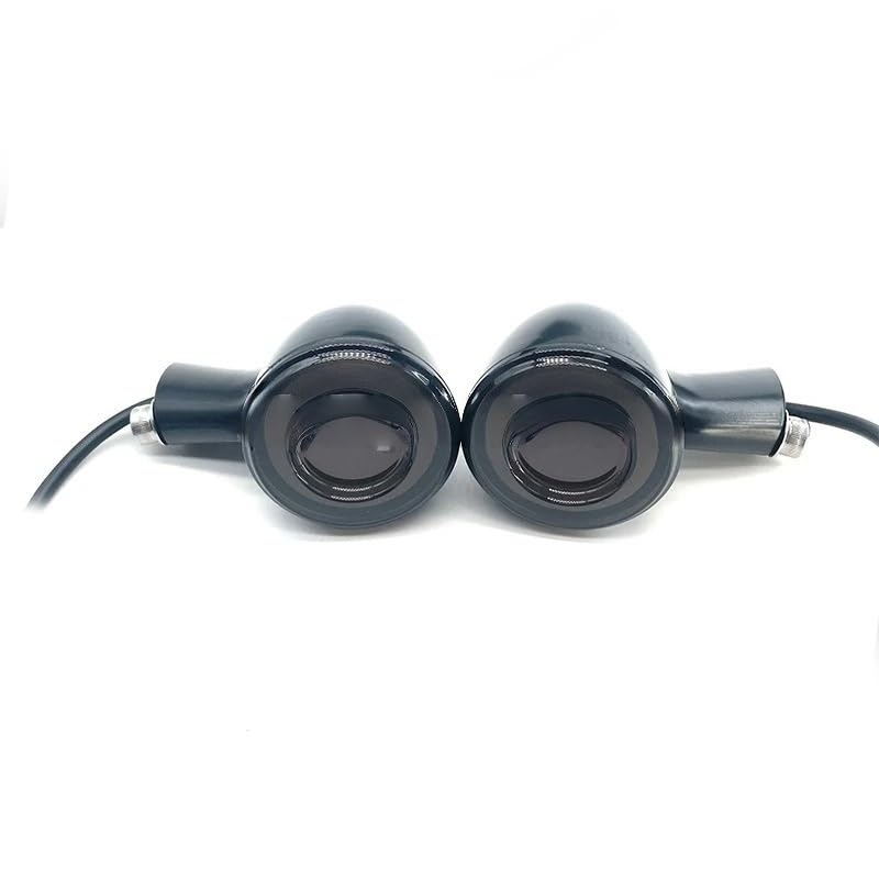 Feu arrière à LED avec clignotant intégré étanche pour Iron Nightster