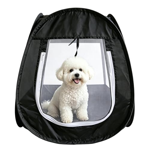 Jaula para perros pequeños contra arañazos con diseño transpirable e interactivo 2