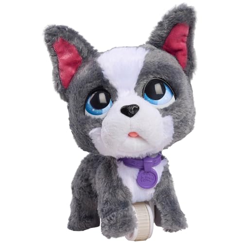 Just Play furReal Walk-A-Lots French Bulldog, interaktives Spielzeug, 20,3 cm großer, laufender Plüschwelpe mit Soundeffekten, 4-teilig, Kinderspielzeug ab 4 Jahren, 22.86