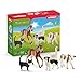 schleich 42386 FARM WORLD Tier-Mix, ab 3 Jahren, FARM WORLD - Spielfigur, 10 x 15 x 20 cm MI 4 günstig Kaufen-schleich 42386 FARM WORLD Tier-Mix, ab 3 Jahren, FARM WORLD - Spielfigur, 10 x 15 x 20 cm