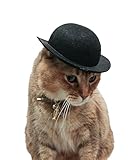 Large Black Bowler Hat for Cats – Costume Accessory with Comfortable Elastic Strap – Perfect for Parties, Photoshoots, and Special Occasions
