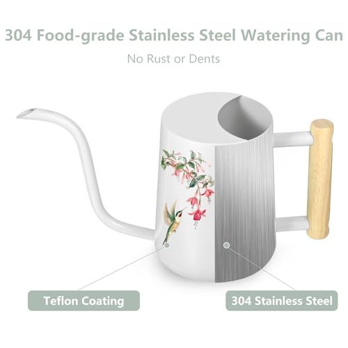 Image of Watering Can Indoor Plants, 35oz Small Stainless Steel Metal Watering Can Modern Decorative Watering Pot with Long Spout for Indoor House Plant Bonsai Garden Flowers (White 1)