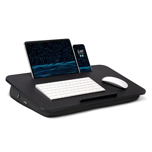 Lap Desk &ndash; L.DOCTOR Cushioned Lap Desks, Portable Laptop Desk for Bed, Couch & Floor, Washable...