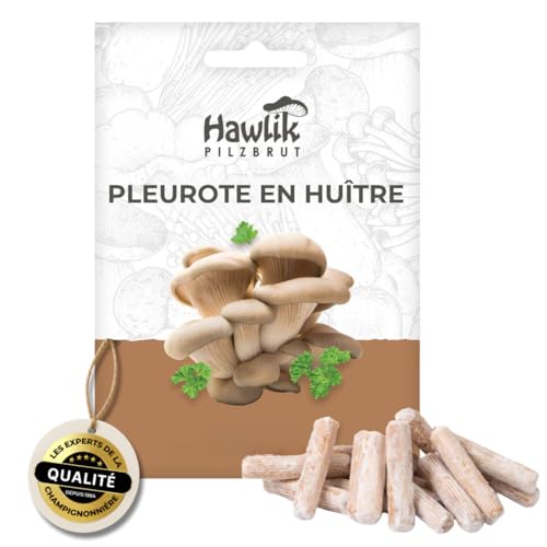 Hawlik Pilzbrut - Pleurotes en huître comme cheville pour cultiver soi-même - jeu d'enfant de récolter des champignons frais - 20 cheville avec mycélium de...