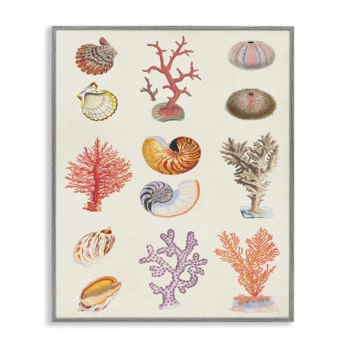 Sea Life Nautical Latin Study, 24 x 30 Inch Framed Giclée Print