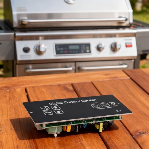 Placa controladora de temperatura Louisiana con termostato digital y cables de repuesto 6