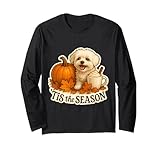Tis The Season Maltese Autumn Fall Products