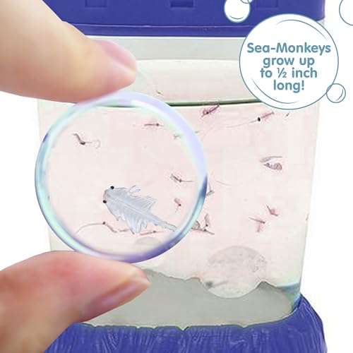 Sea-Monkeys Magiquarium - World's Easiest, No-Mess Pet - Grow Your Own Pet in a Light-Up Aquarium - Ages 6 and Up - One Kit
