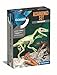 Produktbild Clementoni Galileo Discovery  Ausgrabungs-Set Velociraptor, Spielzeug für Kinder ab 7 Jahren, Ausgraben von Dinosaurier-Fossilien mit Hammer & Meißel, für kleine Forscher von Clementoni 59174