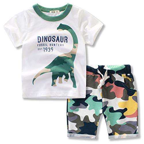 Image of Little Boys Shorts Set Toddler Boys 100% Cotton Summer Short Sleeve T-Shirts and Shorts Clothing Sets 2PCS