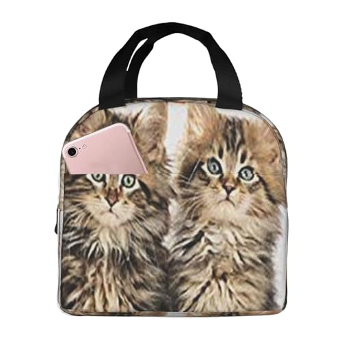 ۗ⃉`obO e h MRh~ ŏv ʋ΁AʊwAAEghAɕ֗ jp (n[hbN킢Les)