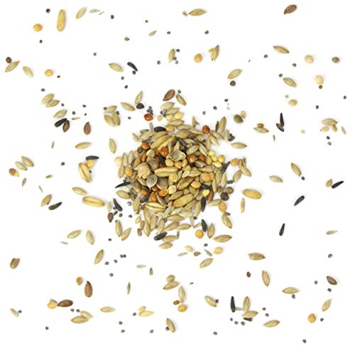 Kanarien-Fit, Kanarienfutter ohne Rübsen 2,5 kg