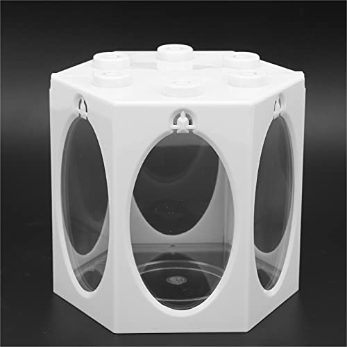 Aquário Aquário, Aquário Hexagonal de Plástico Durável e um Canto Arredondado Projete uma Visão Múlt