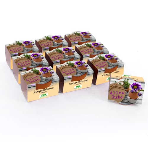 Bull & Bear 10er Set Mini Pflanzset 'Alles Gute' Ringelblume Marigold Blumen Samen, 10 Tontöpfchen mit Blumensamen und Pflanzsubstrat