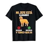 Ligero, Encaje clasico, Manga de doble puntada y bastilla baja