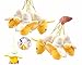 TECH-P Creative Life Mini Plush Toy Banana Peel Phone Bag Keychain Pendant Decoration Plush Toy Dolls for Boy Girl Kids (Banana 10/Set-1.5"X3")+1 PCS Gift Coaster