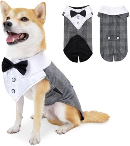 Ragoj ybgEFfBOX[cRX`[hXp[eB[xEFfBOhXamgfBybg (S,O[)