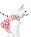 Yizhi Miaow Cat Harness and Leash for Walking Escape Proof, Adjustable Cat Vest Harness, Padded...