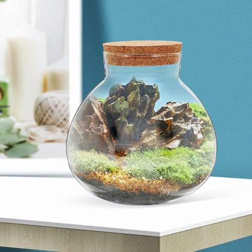 Bouteilles décor maison en verre sphériques sans imperfections