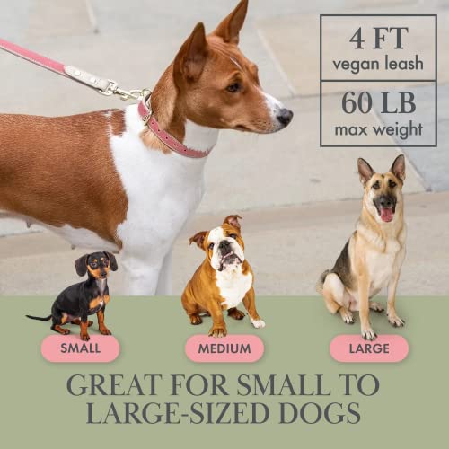 NINA WOOF Rio Dog Lead, Vegan Leather Dog Leads for Small dogs to Large Dogs, Durable Walking and Dog Training Leads - Image 2