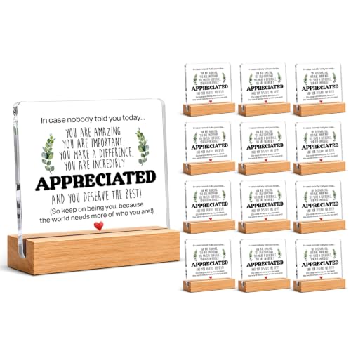 Thank You & Inspirational Gifts Set of 12 for Coworkers Friends Desk Decor