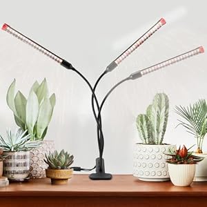 FECiDA 27W Vollspektrum Pflanzenlampe mit Timer
