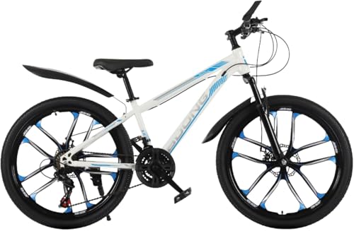 24/26 �C���` ���]�� 21 �i�ϑ� ���Y�f�|�t���[�� �}�O�l�V�E�������z�C�[�� �_�u���f�B�X�N�u���[�L �X�|�[�c�����X�g���[�g/���[�h�o�C�N ���H���s�E���[�X�Ή� �j�����p (�z���C�g × �u���[, 24��)