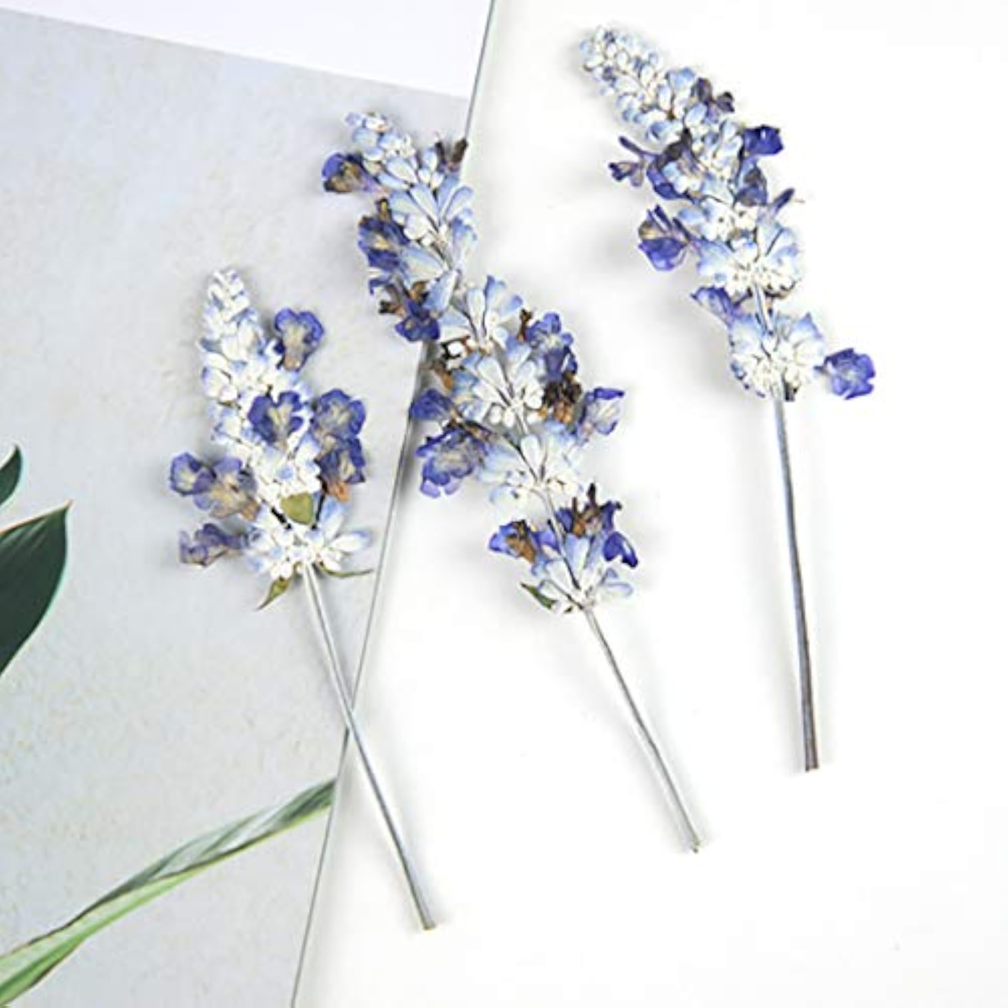 Dried Flower Multipurpose Creative DIY Funny Supplies Pressed Flower