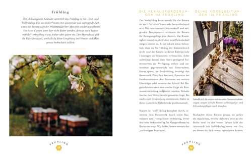 Imkern mit Herz: Das Praxisbuch für Einsteiger zu allen Arbeiten im Jahresverlauf plus Profiwissen zur Königinnenzucht, Honiggewinnung, Vermarktung ... | von Insta-Imkerin @honigmanufaktur.mit.herz