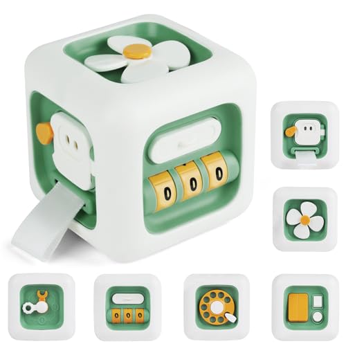 Ainiv 6 in 1 Baby Spielzeug für 1 Jahr Junge und Mädchen, Montessori...