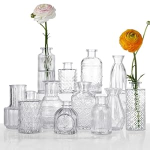 12 Pcs Small Glass Bud Vase Set of，Mini Vintage Vases in Bulk, Clear Bud Vases for Centerpieces， Rustic Wedding Decorations，Home Table Flower Décor.