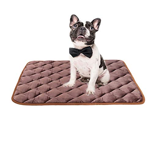 ソファ ベッド 犬用マット クッションの人気商品 通販 価格比較 価格 Com ソファ ベッド 犬用マット クッションの人気商品 通販 価格比較 価格 Com