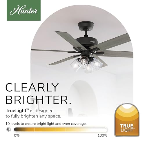 Image of Hunter Fonthill Indoor Ceiling Fan With Light, Remote, 52-inch, Fresh White, Fast Install, 6-speeds (Matte Black)
