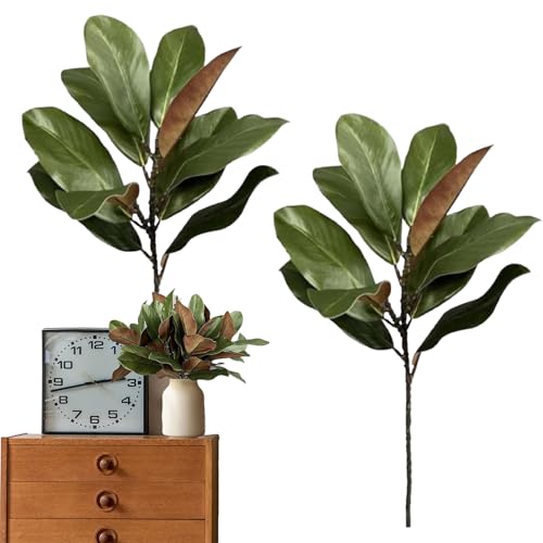 O[Xe,56cm A N̗t | p}OmAtFCN} - t[AWg z[fR ItBX EFfBO NX}X zf[ e[uZ^[ p[eB[