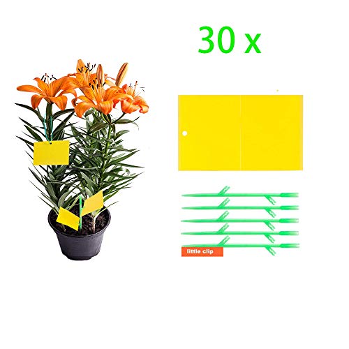 Preisvergleich Produktbild 30 x Gelbtafeln Fliegenfallen - Gelbsticker, Fliegenfänger