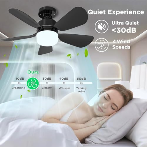 Image of 2Pack Socket Fan Light With Remote, Screwing Ceiling Fans with Dimmable Lights, 3 Colors 3000K-6500K,Ceiling Fan Light Kit Bulb for Bedroom Living Room Kitchen Garage Dinning Room