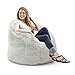 Big Joe Milano Bean Bag Chair, Ivory Shag Fur, Soft Faux Fur, 2.5 feet