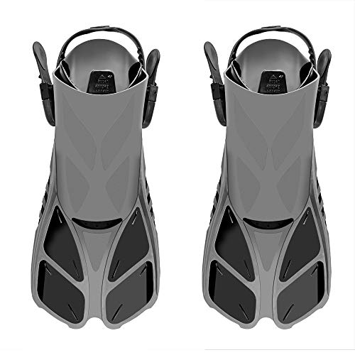 白い背景に置かれたフィン